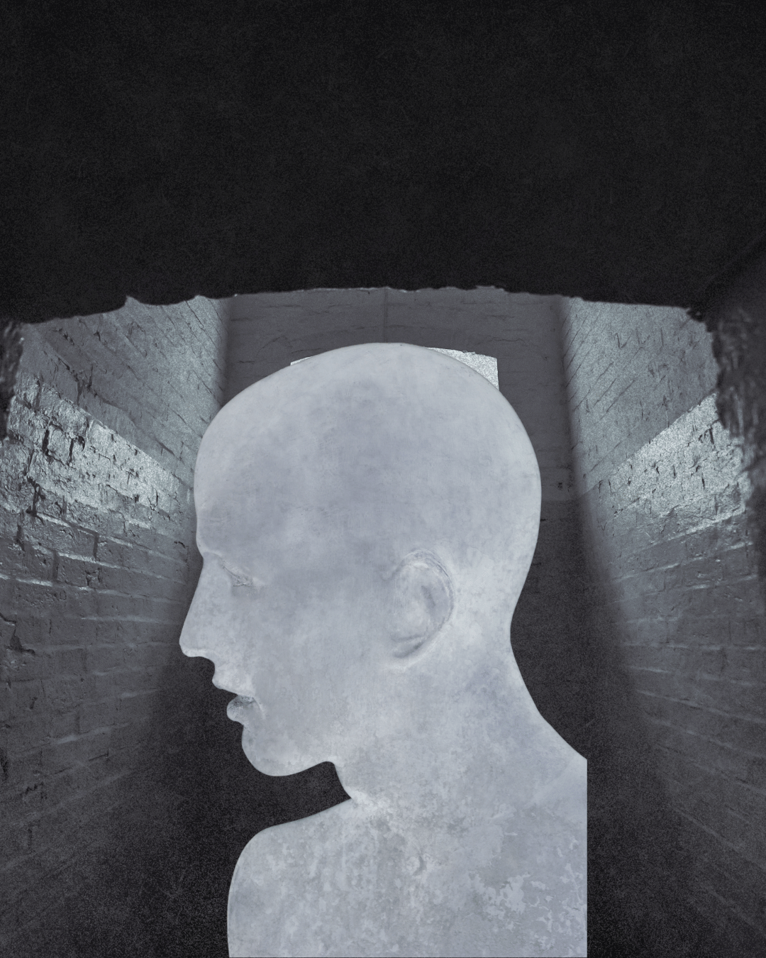 website (17)